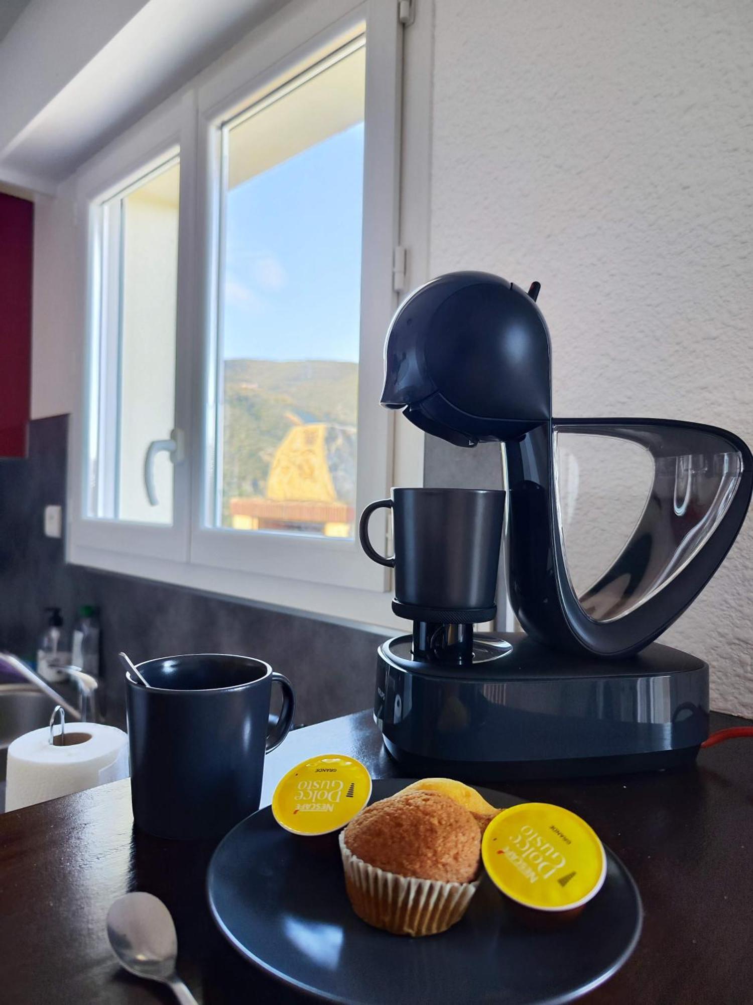 Appartement Avec Une Belle Vue Sur Palalda Amelie-les-Bains-Palalda Luaran gambar